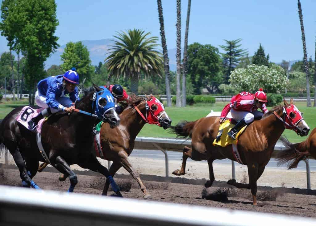 Catastrophic Injuries in Racing Quarter Horses Studied