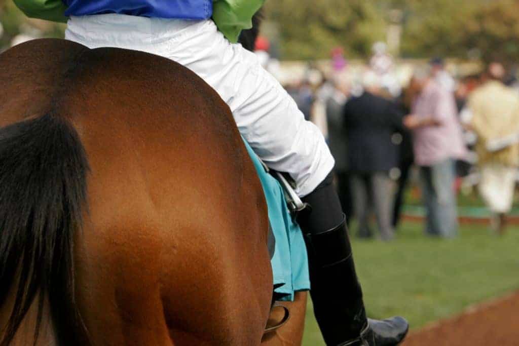 Saratoga Race Meet Marred by Horse Deaths