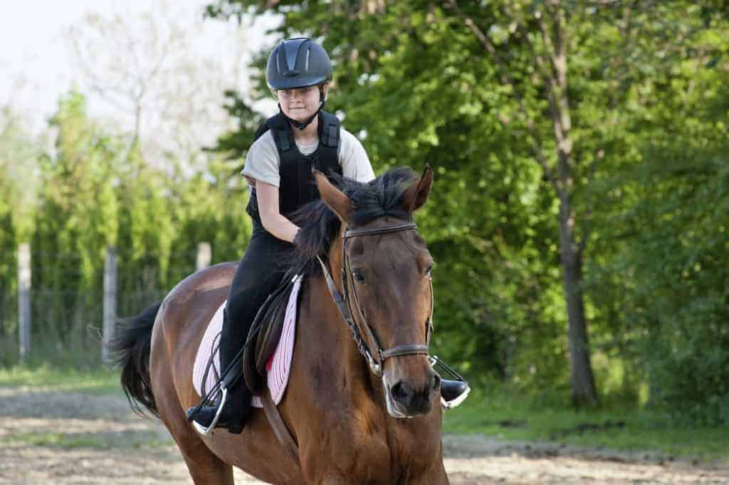 Poll Recap: Youth Equine Organizations