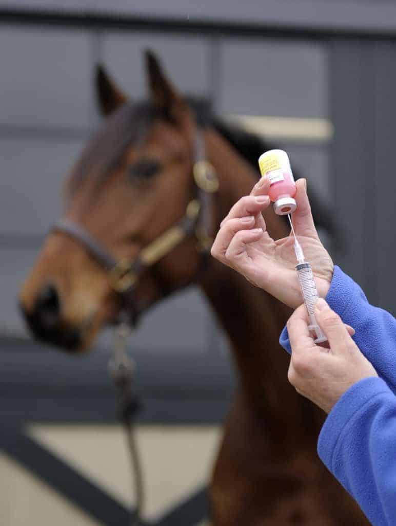 Vaccination