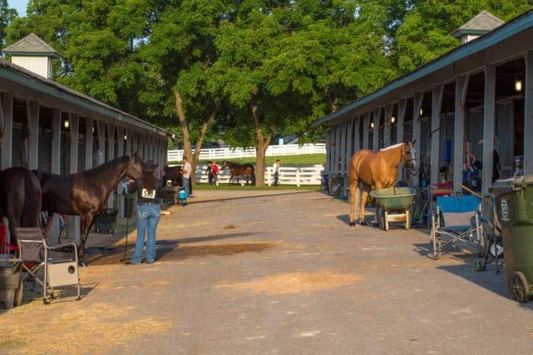 Biosecurity at Equine Events