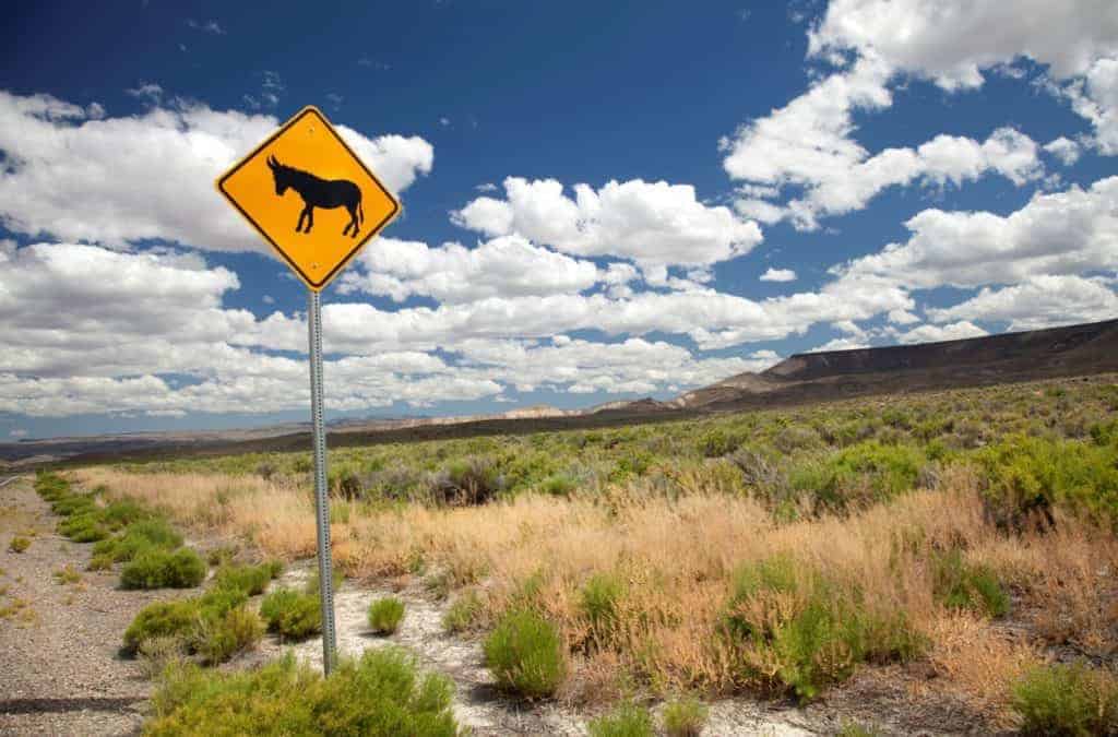 Burro Crossing Sign