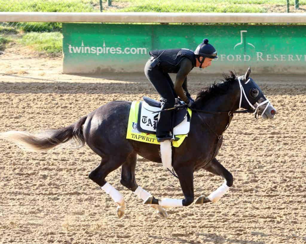 Tapwrit Surges Past Irish War Cry to Win 2017 Belmont Stakes