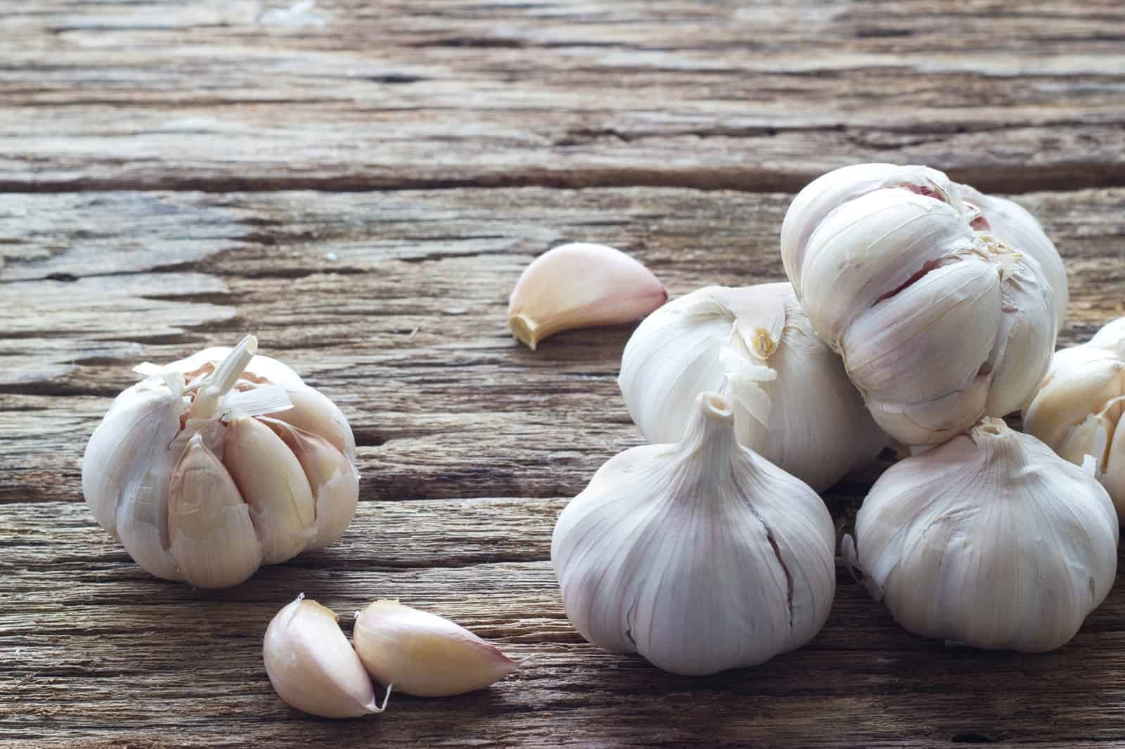 Should I Feed My Horse Garlic to Repel Insects? The Horse