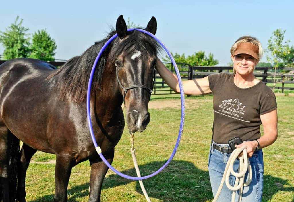 Habituation vs. Learned Helplessness in Horses
