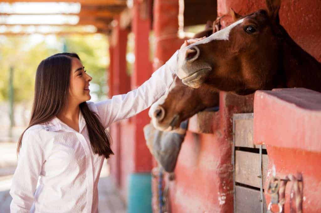 Time to Ride Challenge Association Program Grows