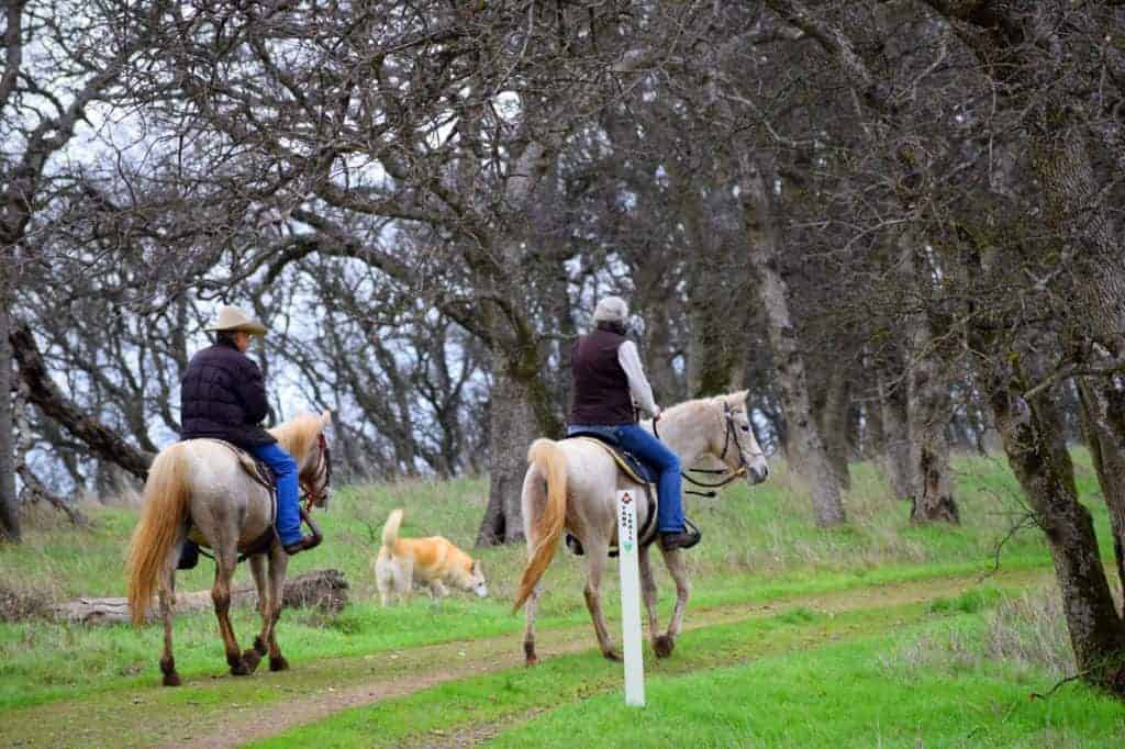 'Leave No Trace' Horse Camping Clinic Set for April 1