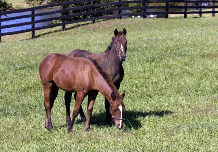 What's New With Weaning?