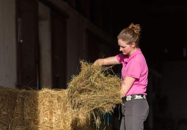 Nutrition Loss in Stored Hay