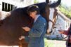 Listening to Horse's Heart