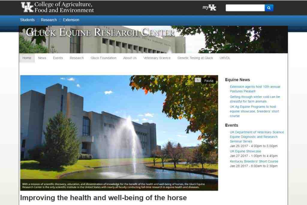 UK Department of Veterinary Science Launches New Websites