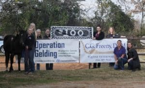 Mother/Daughter Team Organizes Seventh Gelding Clinic