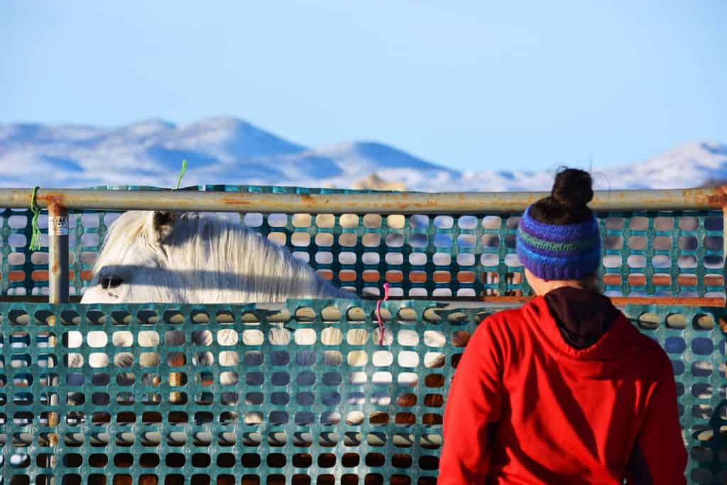 BLM Concludes Eagle