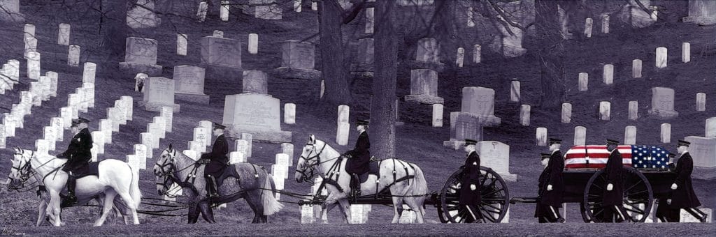 Meet the U.S. Army Caisson Horses