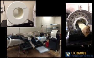 UC Davis' Equine PET Scanner Providing Results