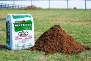 Need a New Bedding Choice? Consider Peat Moss