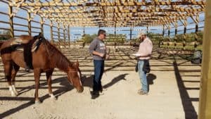 Building an Indoor Riding Arena? First