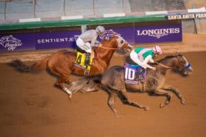 Arrogate Overtakes 'Chrome' to Win Breeders' Cup Classic
