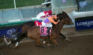 Beholder Wins Breeders' Cup Distaff by a Nose