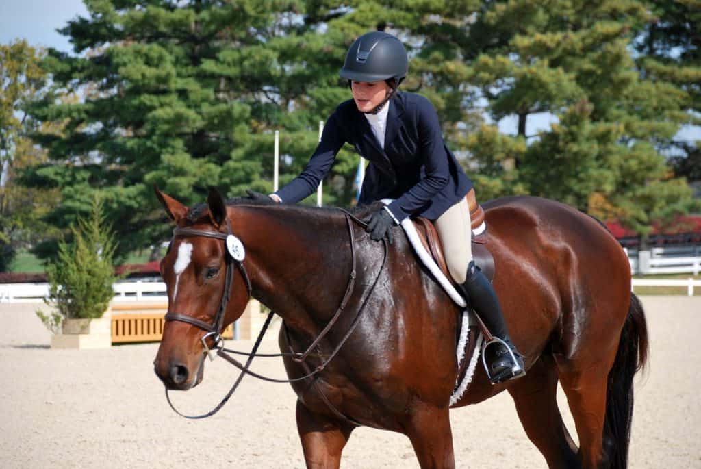 Retrained Thoroughbred Racehorses Bound for Kentucky