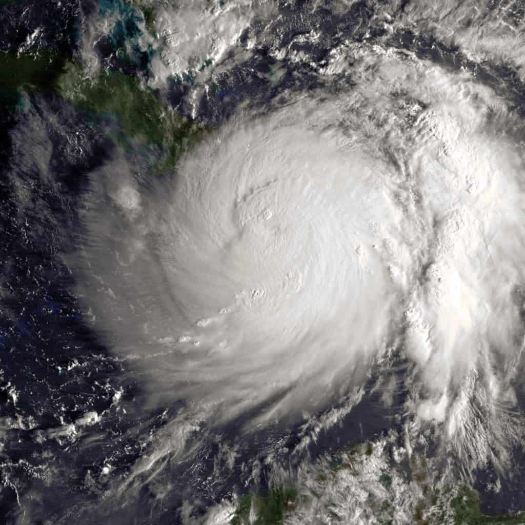 Horse Owners Taking Proactive Approach for Hurricane Matthew