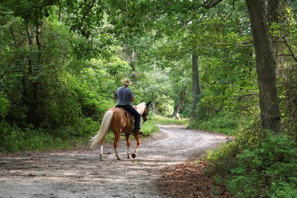 U.S. House Passes Forest Service Trail Stewardship Act