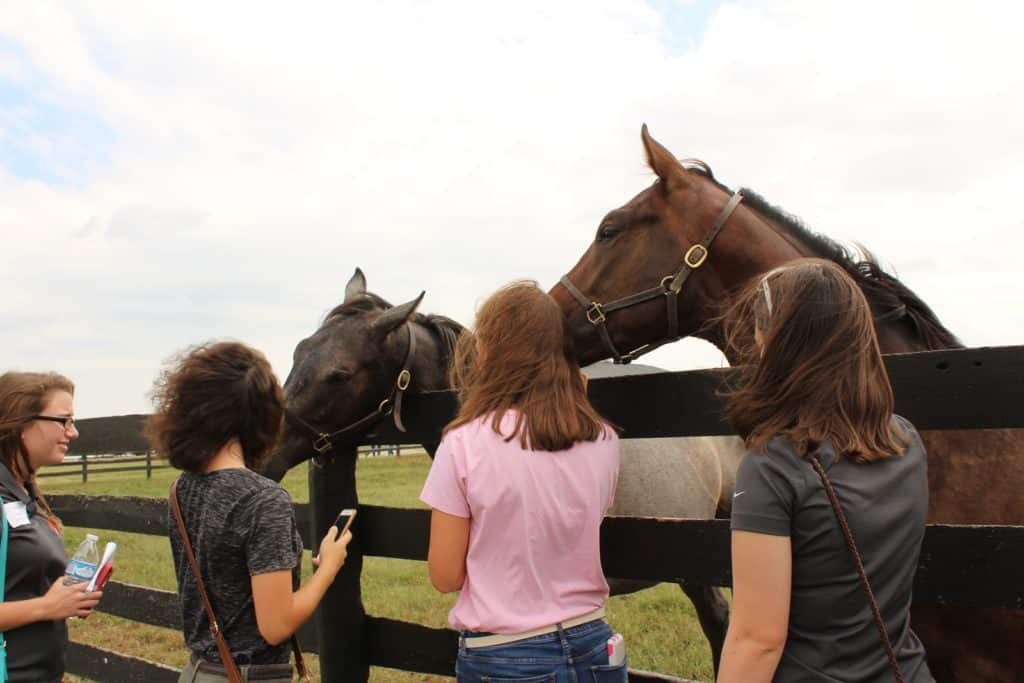 UK Tour Displays Equine Industry Career Possibilities