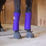 Horse Bandaging Fundamentals