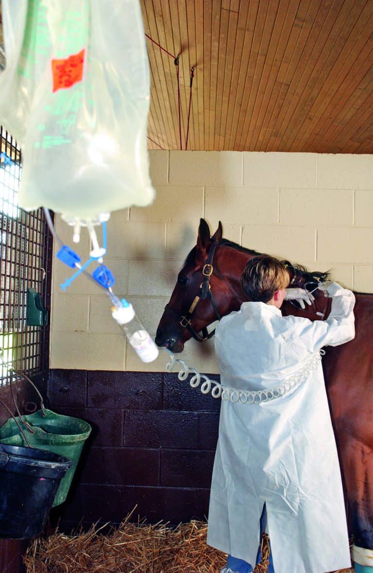 Post-Colic-Surgery Salmonellosis and Long-Term Prognosis