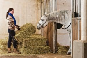 Tips for Feeding New Hay