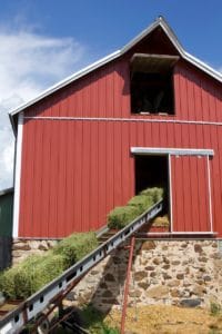 Poll Recap: Stocking Up on Hay