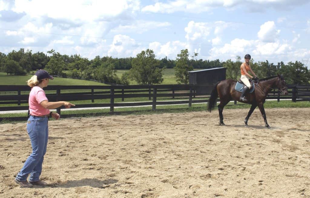 Poll Recap: Managing Working Horses