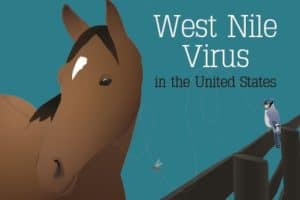WNV Longform feature image