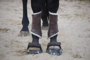 How Hoof Boots Impact a Horse's Walk