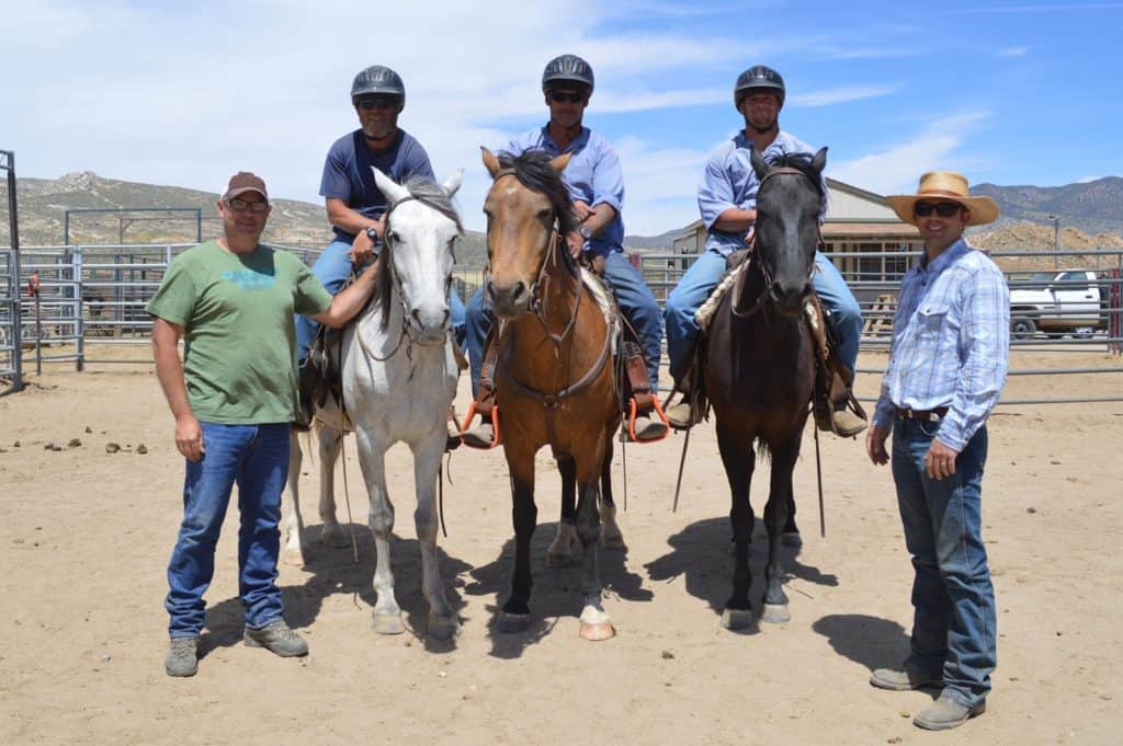 Inmate-Trained Wild Horses to Work for U.S. Forest Service