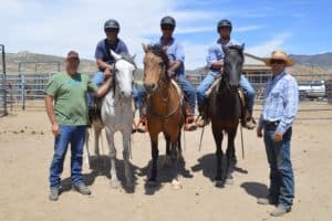 Inmate-Trained Wild Horses to Work for U.S. Forest Service