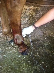 Getting a Jumpstart on Joint Infections