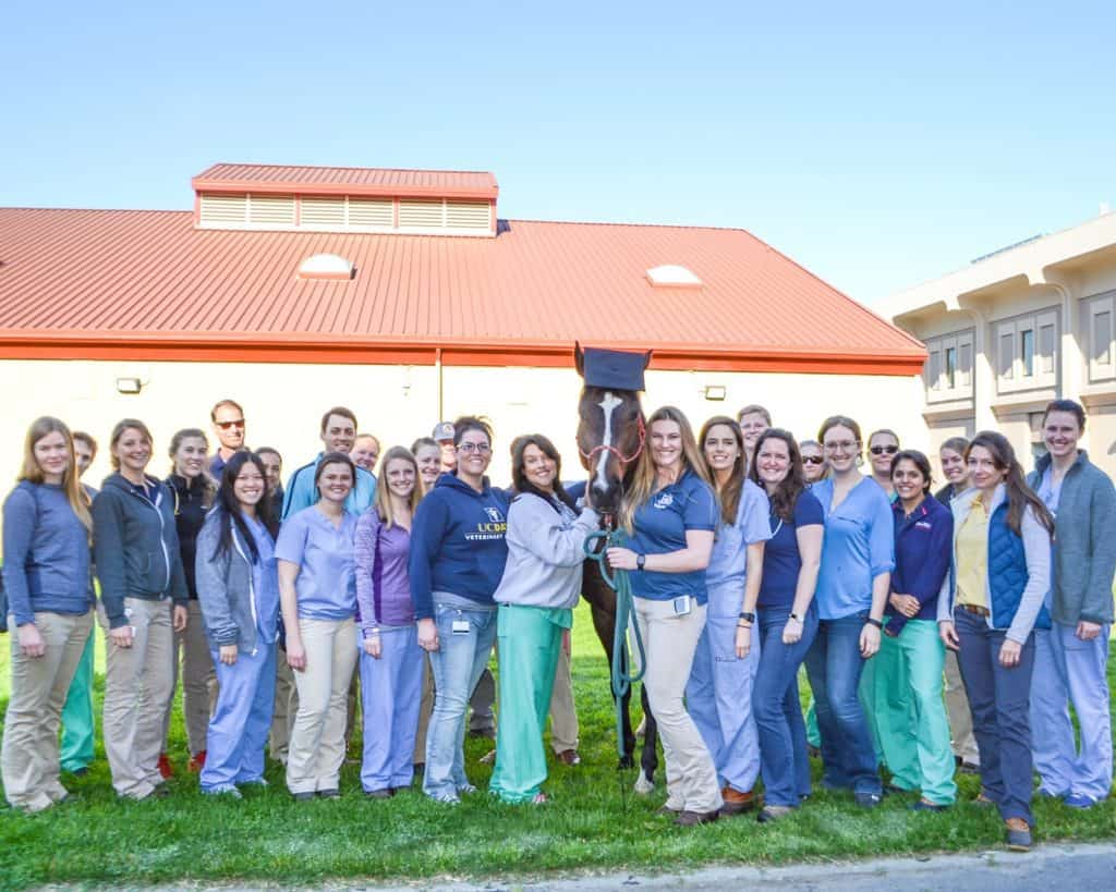 Horse Receives Honorary Veterinary Degree from UC Davis