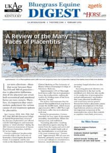 BED-Feb2016-1