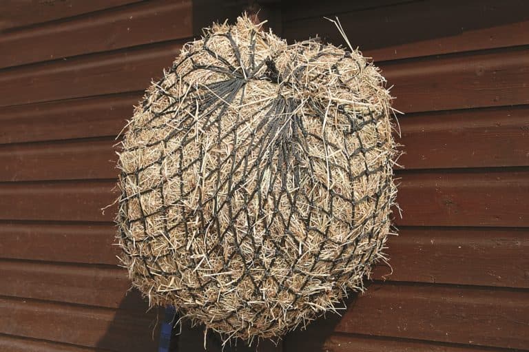 Slow Feed hay net