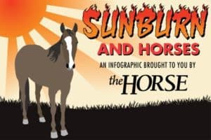 TheHorse.com's Top Infographics of 2016