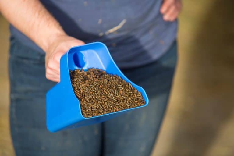 scoop of grain
