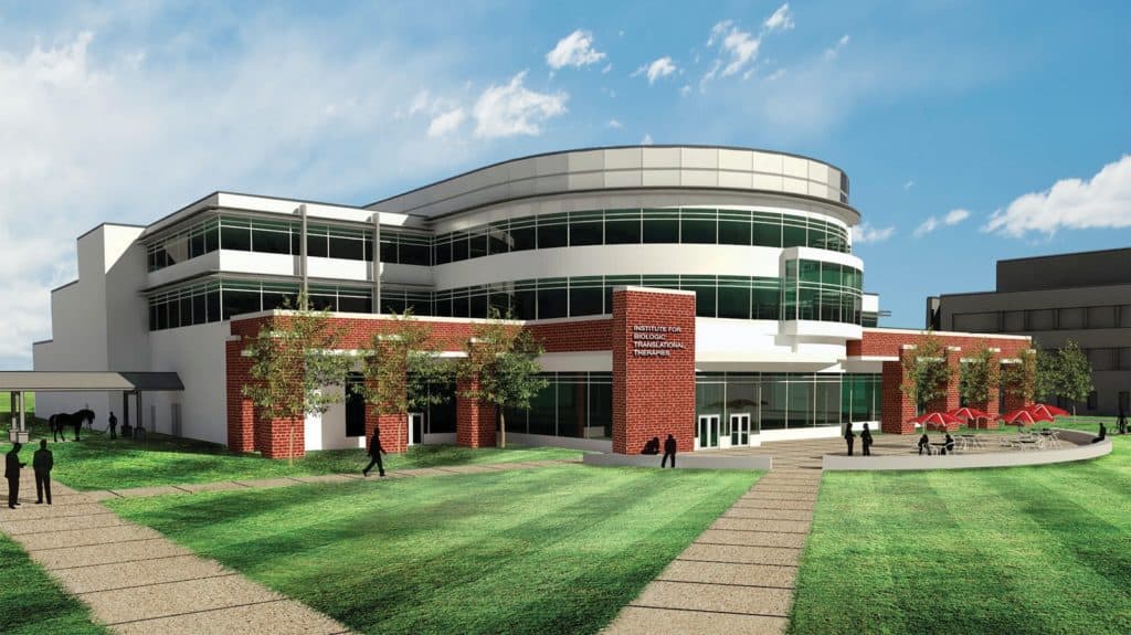 Racehorse Breeder Donates to CSU for Regenerative Research