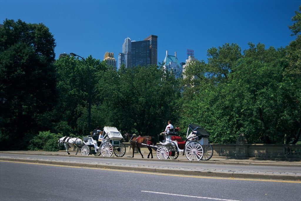 Proposal Would Put NYC Carriages Under New Regulation