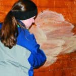 The Importance of Cleaning and Disinfecting Horse Stalls