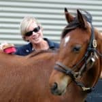 Grooming Your Horse: Deep Down Clean
