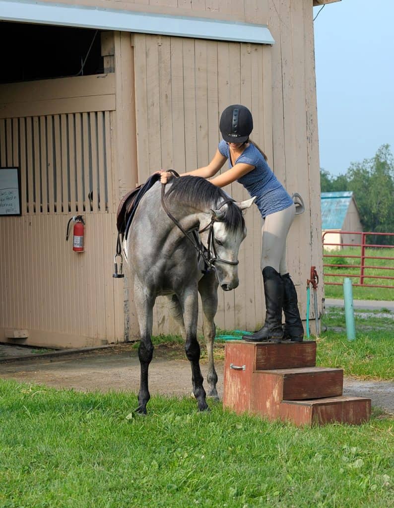 Rider standing on mounting block next to horse