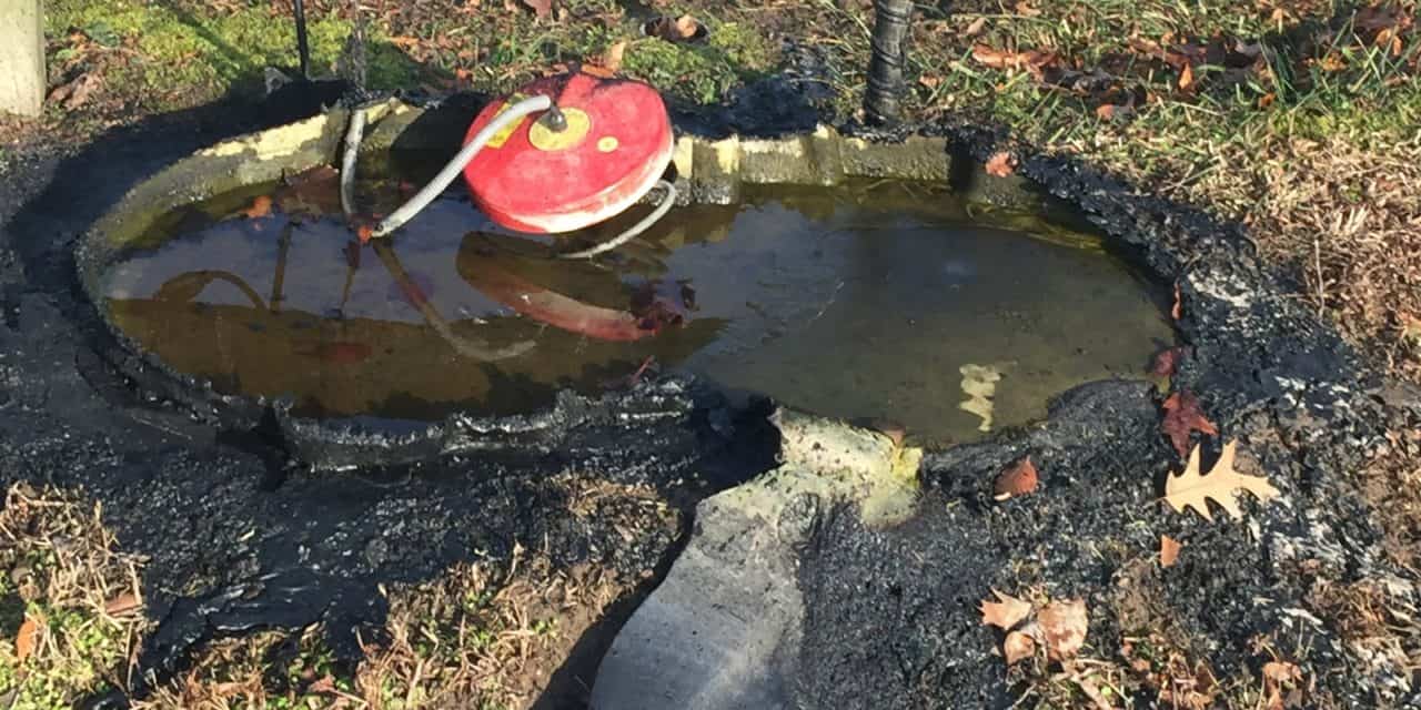 Heated Water Trough Safety