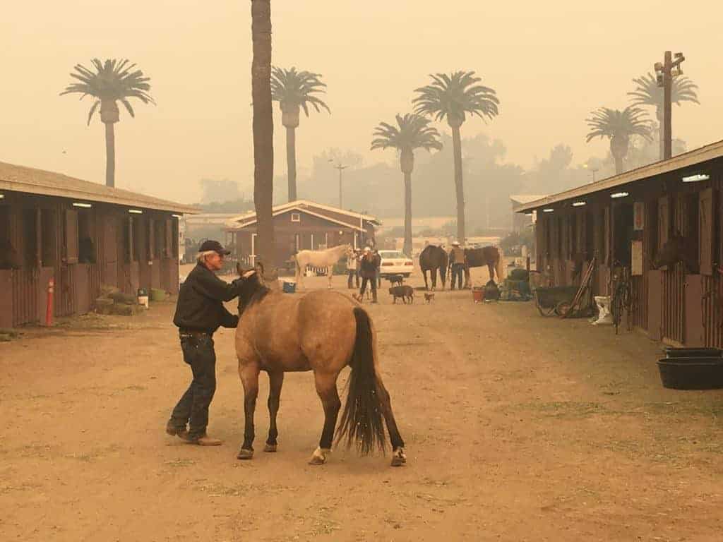 Hundreds of Horses Removed From California Fire Zone