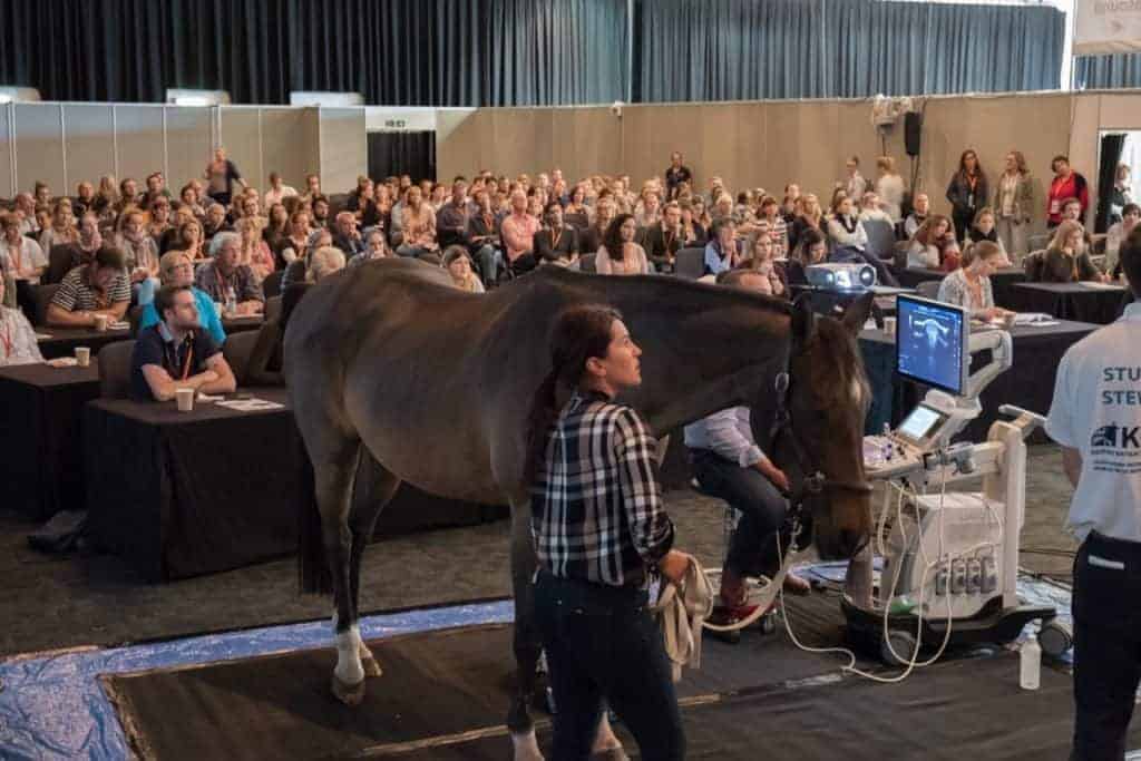 BEVA Congress Attendance Increases by 20% Over 2016